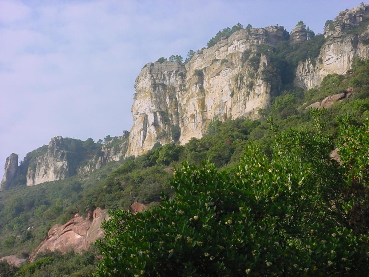 Espai Abadia Argentera ภายนอก รูปภาพ